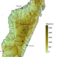 Madagascar - exemple de cartographie (occurrences et bassins).