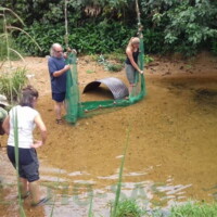 Gabon - pêche à la senne.