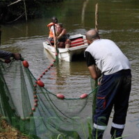 Gabon - mise en place d'une senne en bateau.