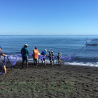 Réunion - pêche à la senne de plage.