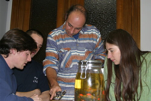 Sensibilisation - MNHN 2003.