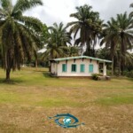Maison accueillant l'équipe lors du séjour à la Station de l'Ipassa. Maison accueillant l'équipe lors du séjour à la Station de l'Ipassa.