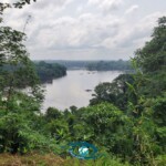 Rivière Ivindo, vue de la station. Rivière Ivindo, vue de la station.