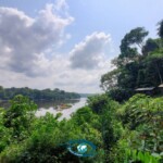 Habitation des eco-gardes de la Station d'Ipassa, au bord de la rivière Ivindo. Habitation des eco-gardes de la Station d'Ipassa