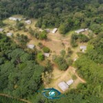 Photographie prise en drône, station d'Ipassa. Photographie prise en drône, station d'Ipassa.