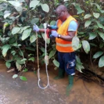 Filtration de l'eau - Bas Ogouée (Gabon).