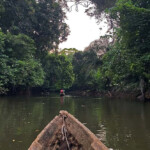 Déplacement dans un affluent de la Noya à l’aide d’une pirogue.
