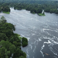 Les rapides de Loa-Loa (vue de drone).