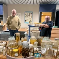 Yves Fermon (à droite) ichtyologue chez ICHTIO et Jos Snoeks (à gauche) ichtylogue, chef de département Vertébrés au MRAC.