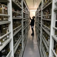 Recherche des lots de spécimens par Patrice Pruvost ichtyologue et responsable scientifique de la collection nationale d’ichtyologie au MNHN.